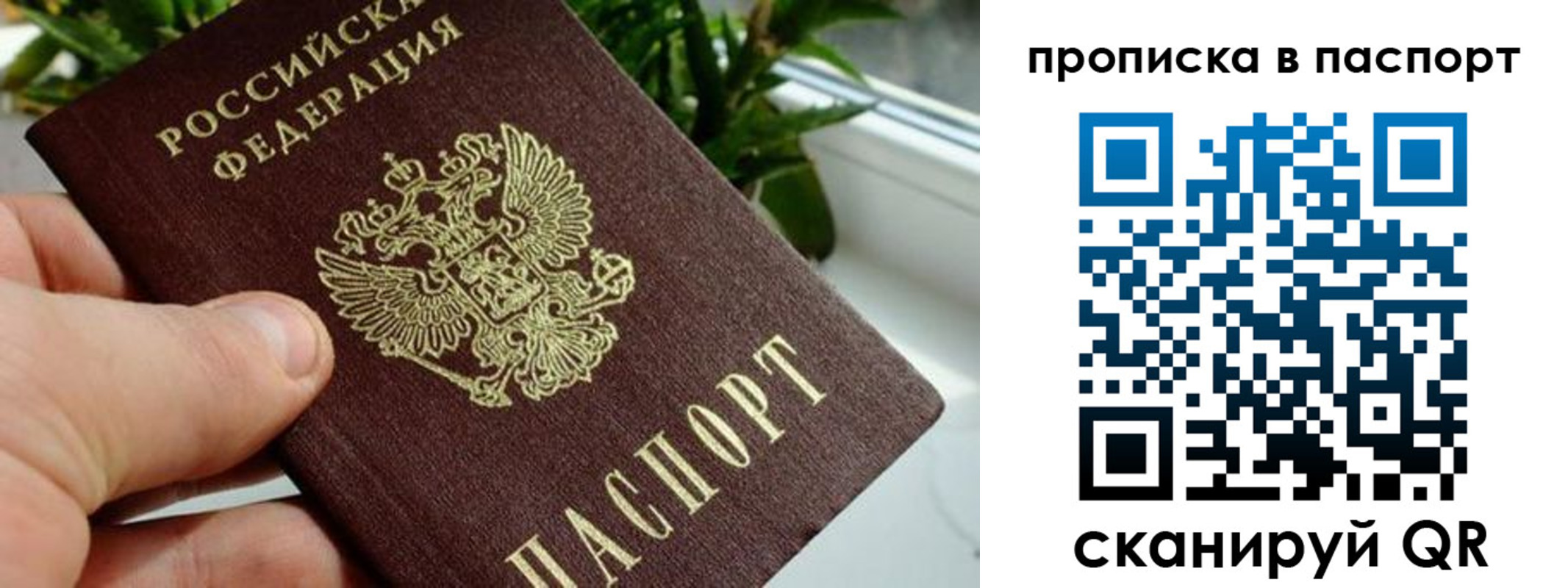 пропишу в квартире в Иланском